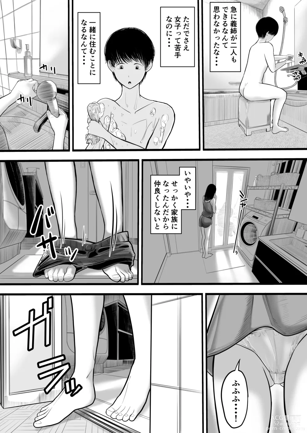 Page 3 of doujinshi Onee-chan to no Ecchi Ecchi na Hibi