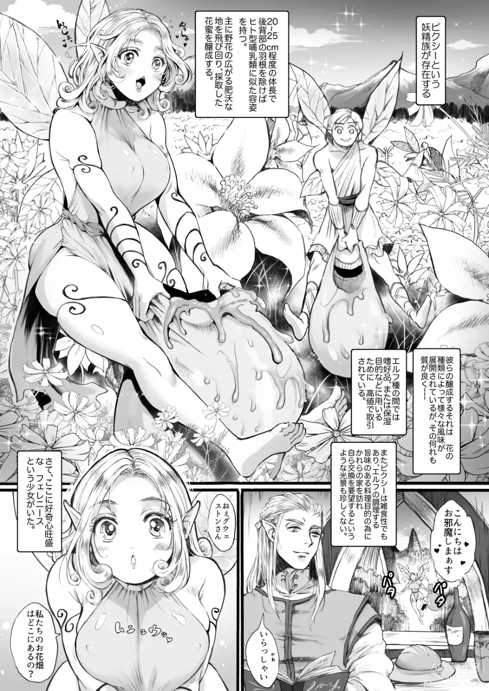 Page 2 of doujinshi Yousei-san o Tsukamaeta ~Zenpen~