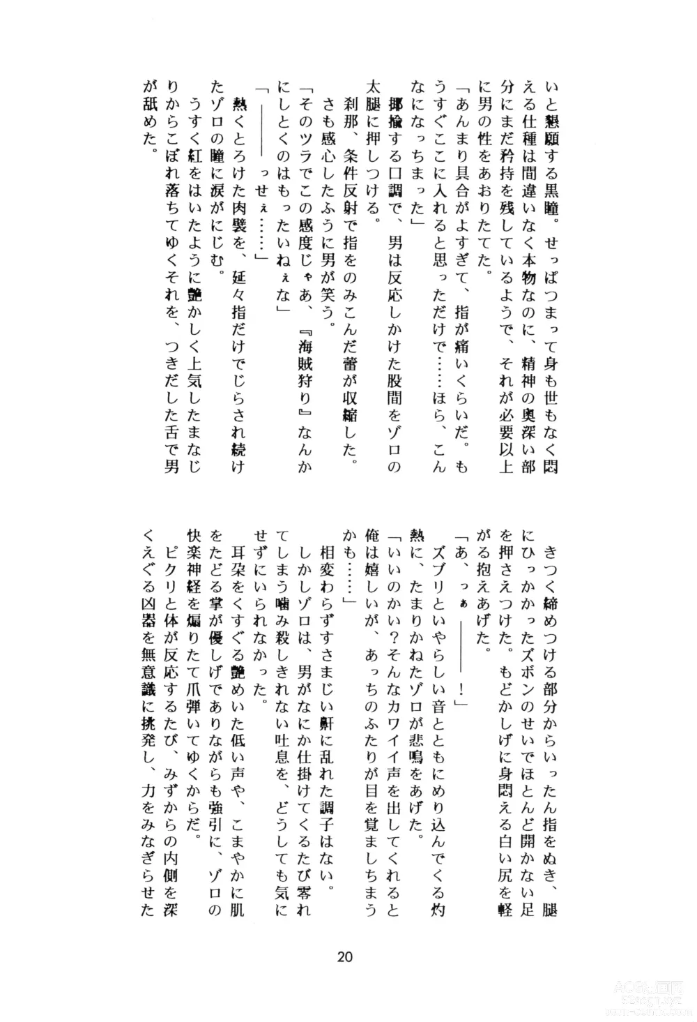 Page 19 of doujinshi SWORD DANCER