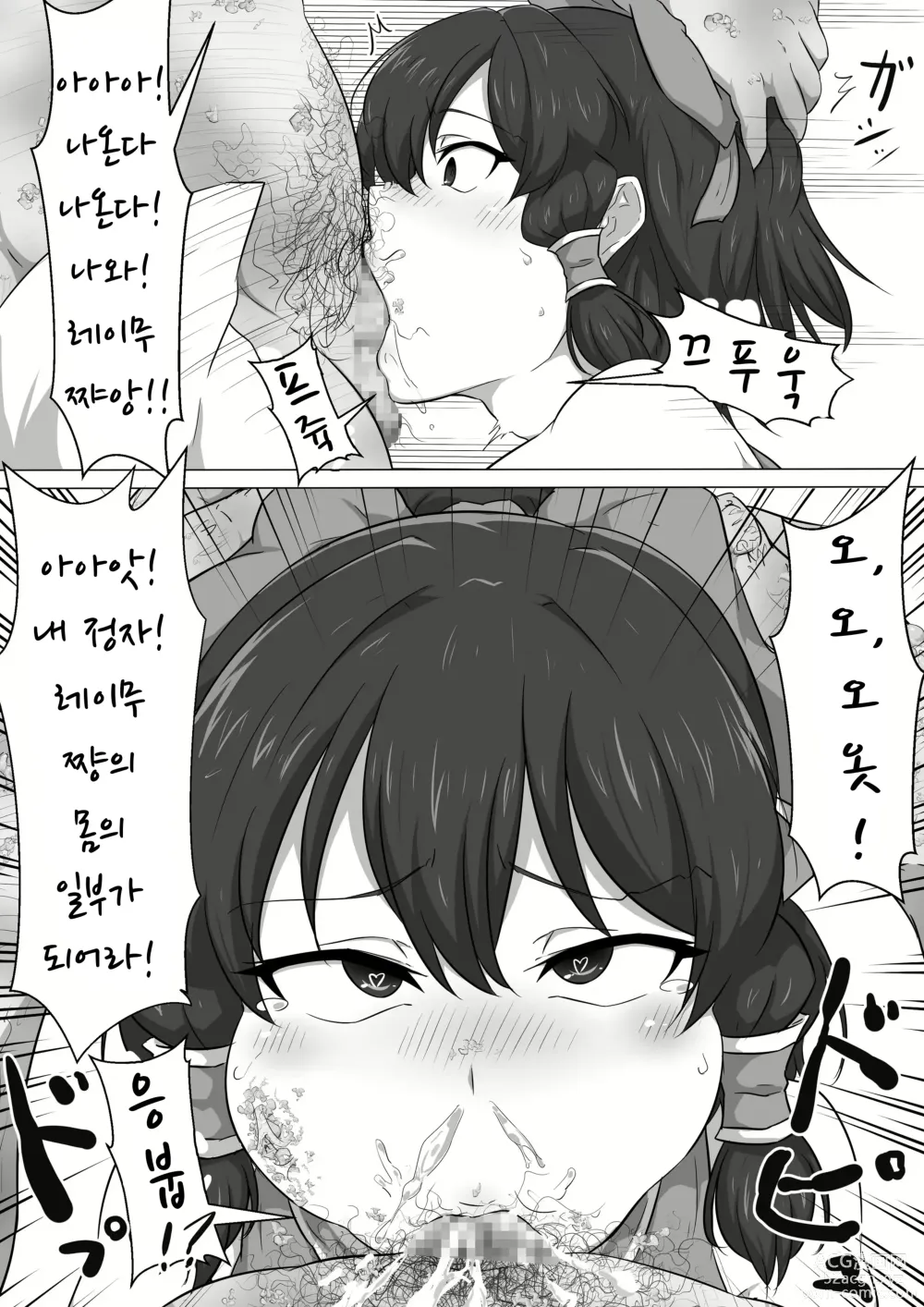 Page 17 of doujinshi 동방 개변 레이무