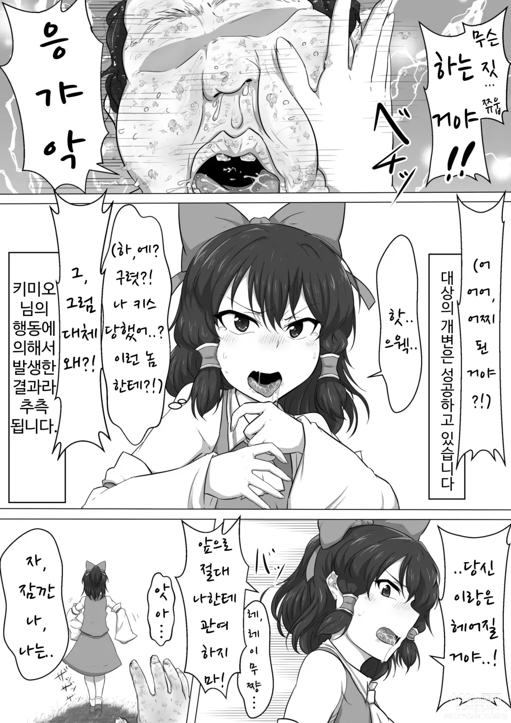 Page 9 of doujinshi 동방 개변 레이무