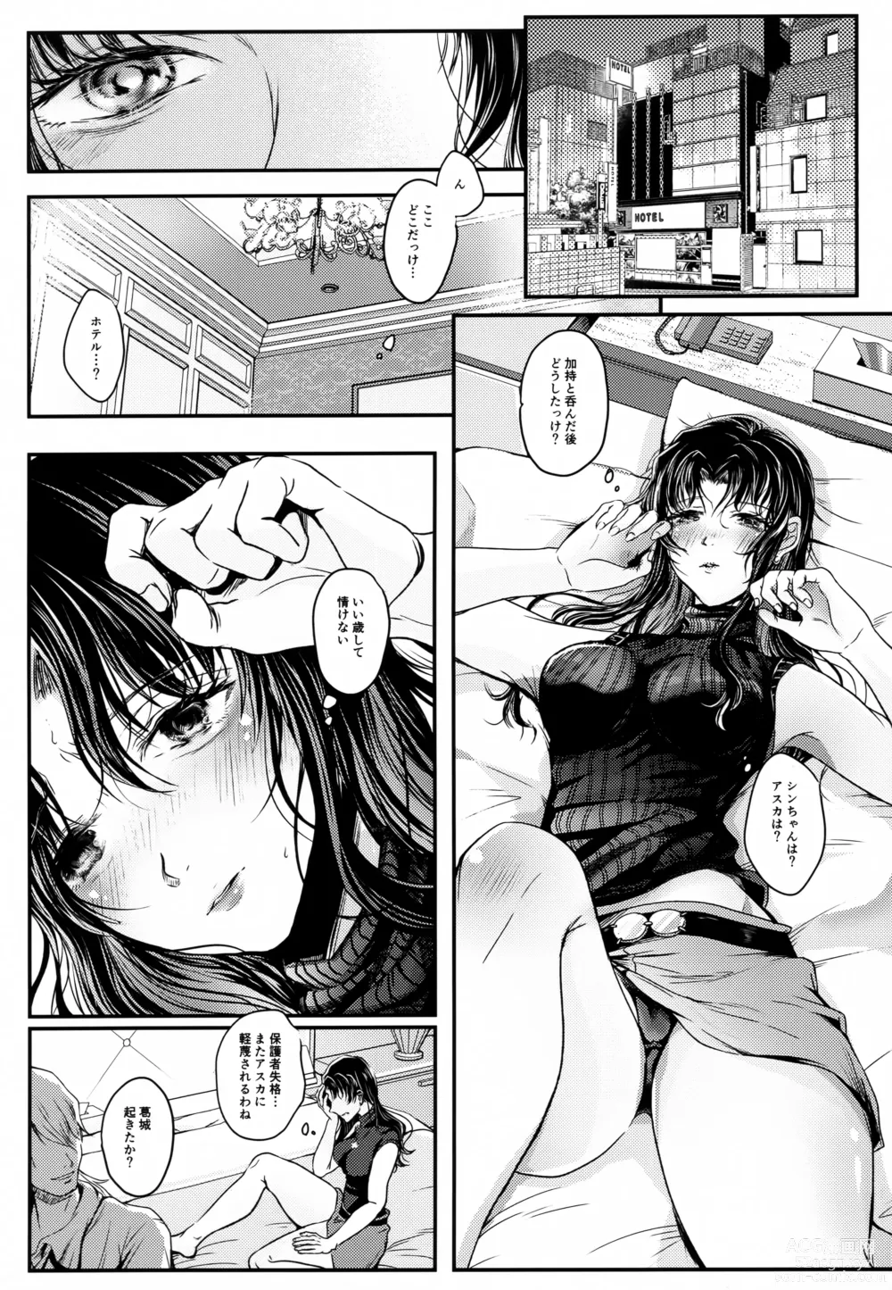 Page 9 of doujinshi SHIEN