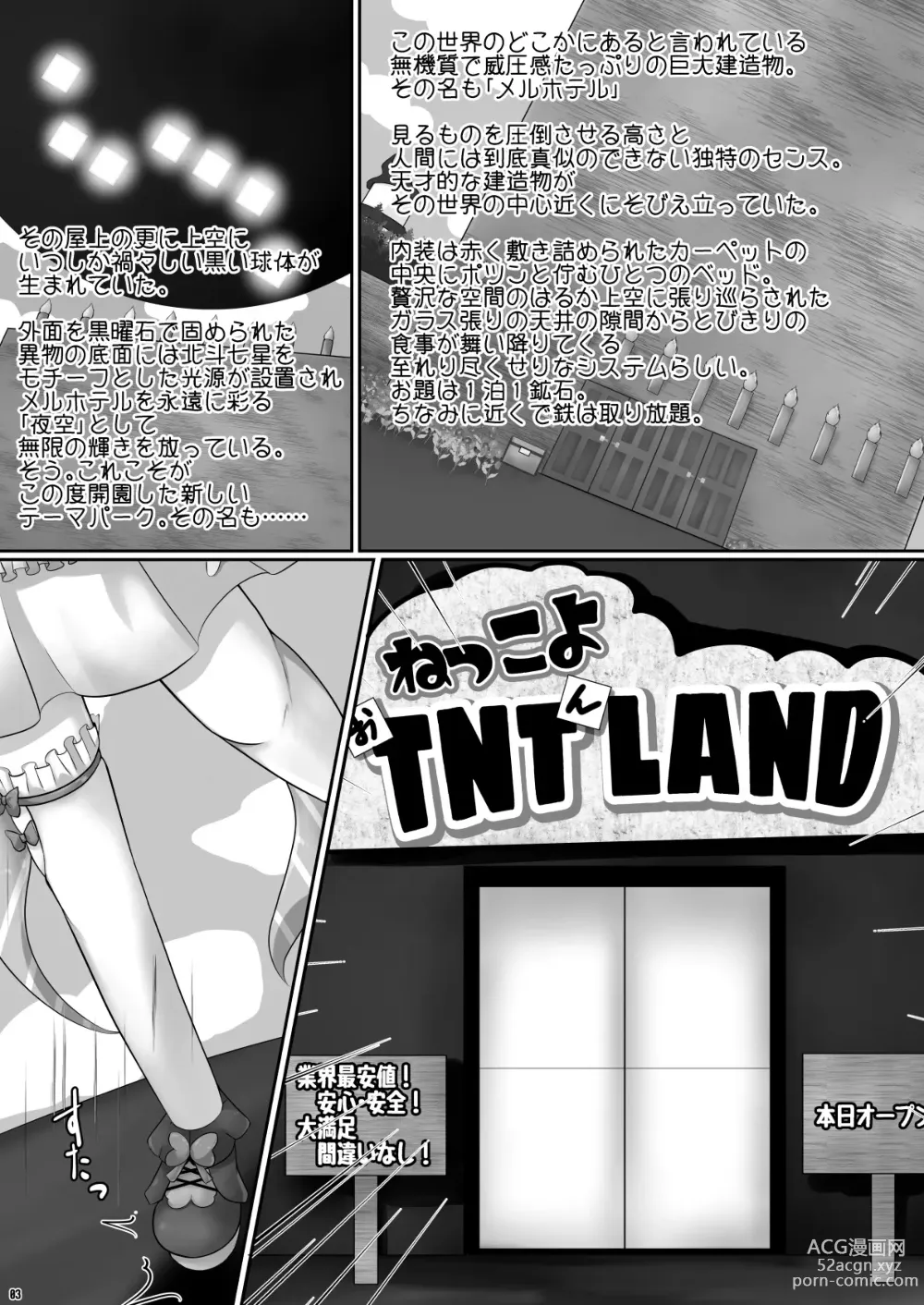 Page 3 of doujinshi Nekkoyo TNT n Land he Youkoso!!