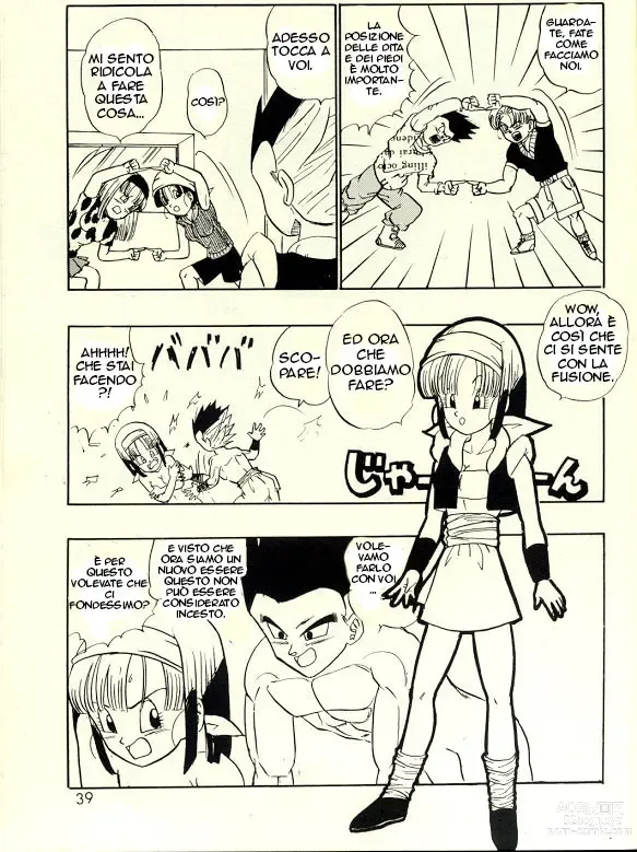 Page 3 of doujinshi Konshinsōkan Fusion
