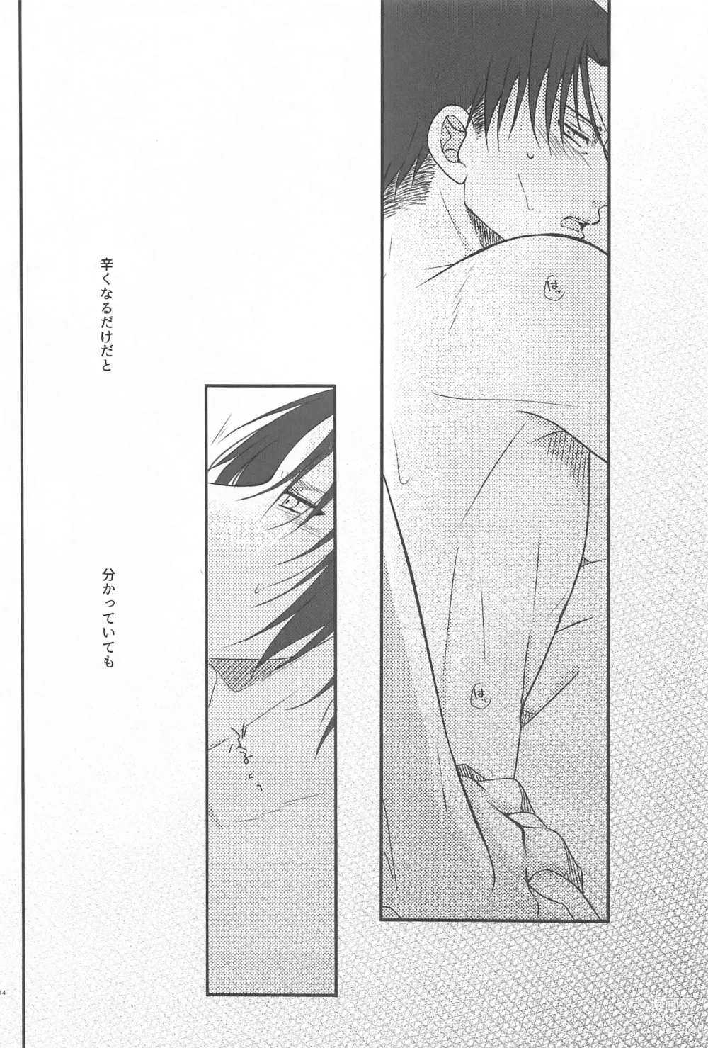 Page 13 of doujinshi Short x Assort
