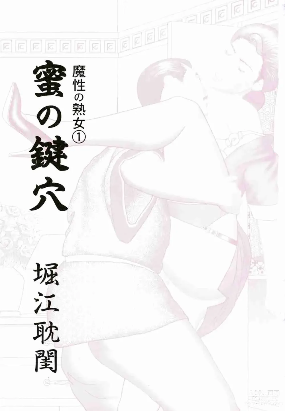 Page 4 of doujinshi Mashou no Jukujo 1-3