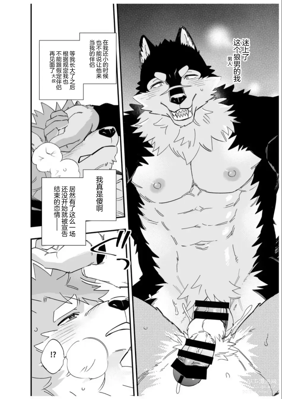 Page 17 of doujinshi Karisome Ookami