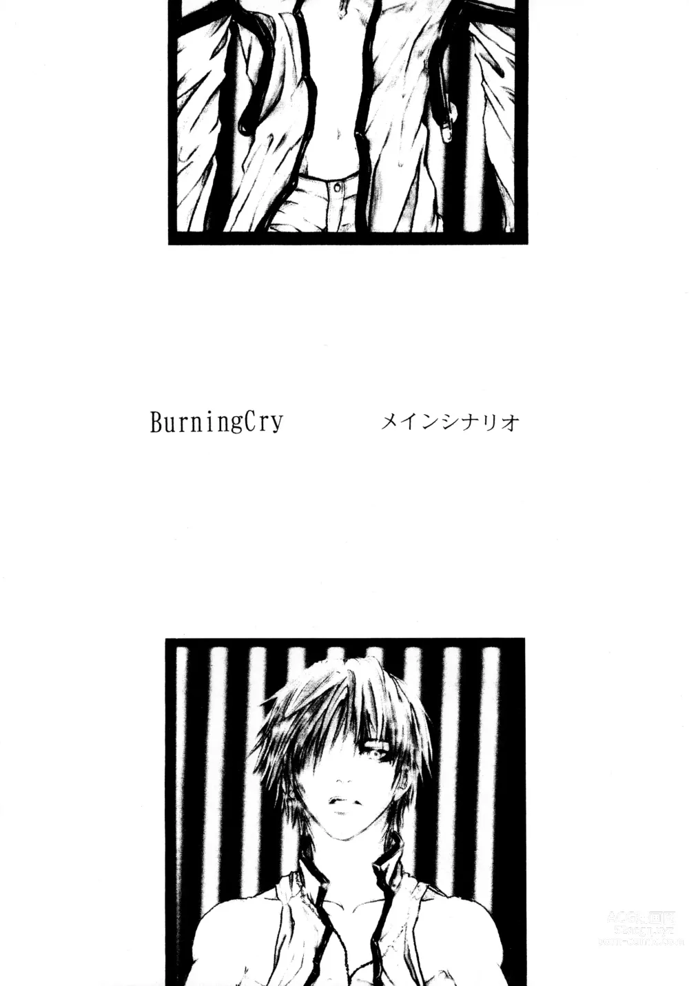 Page 13 of doujinshi BurningCry Kaiteiban