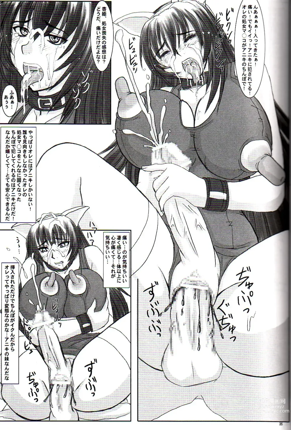 Page 35 of doujinshi Tatakae! Kyouhime-sama!!