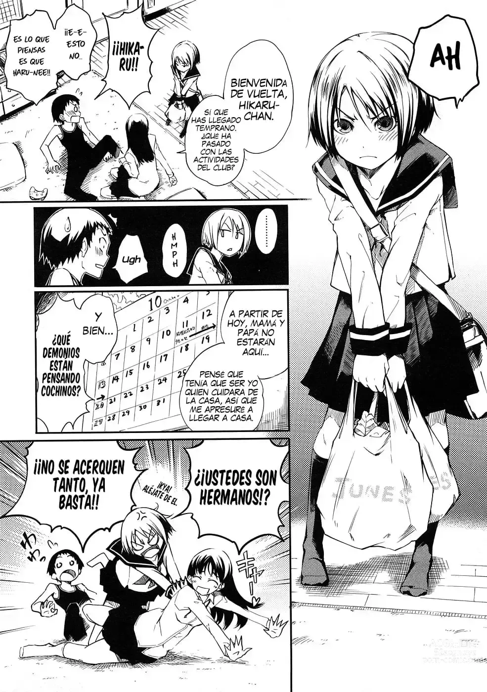 Page 3 of manga Ane To Aneotouto Ch.1-2