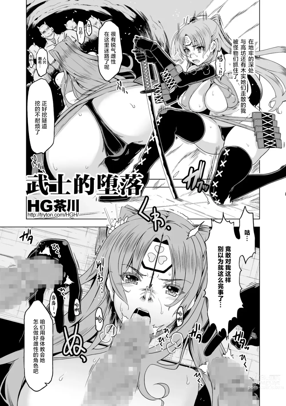 Page 15 of doujinshi HG Chagawas Collection of Warrior Type of Characters