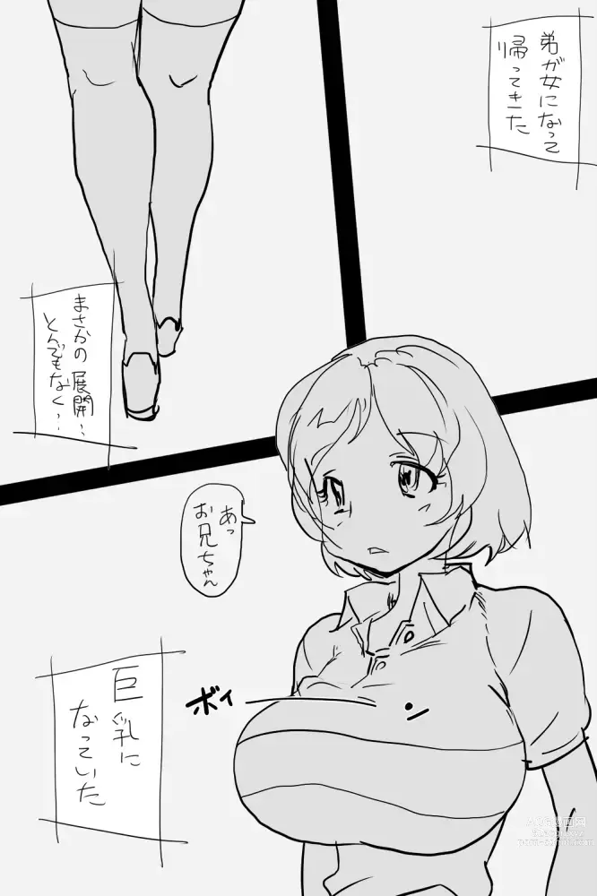 Page 2 of doujinshi ONK : 女体になった巨乳の弟を犯しちゃうお話し。