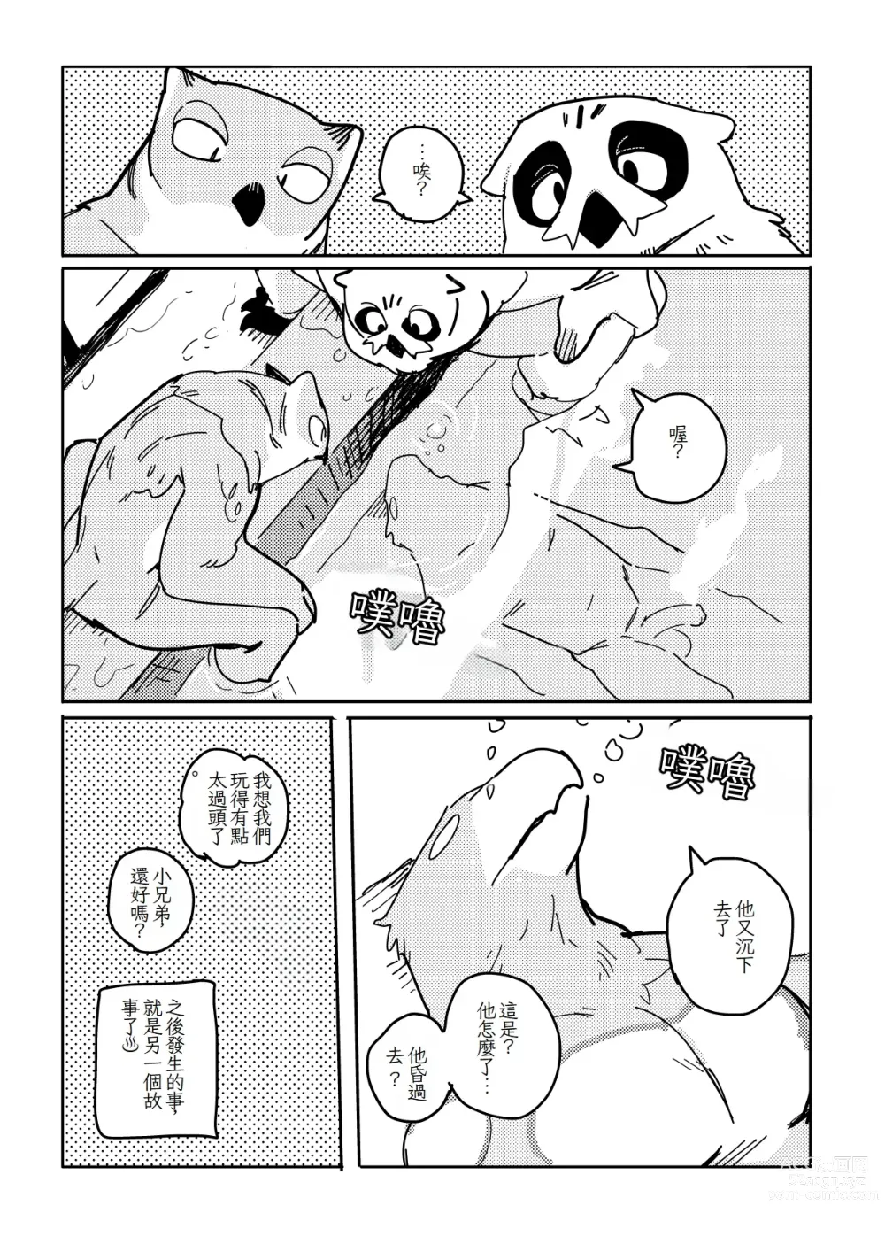 Page 14 of doujinshi White-Tailed Eagle and Owls 白尾鷹與鴞