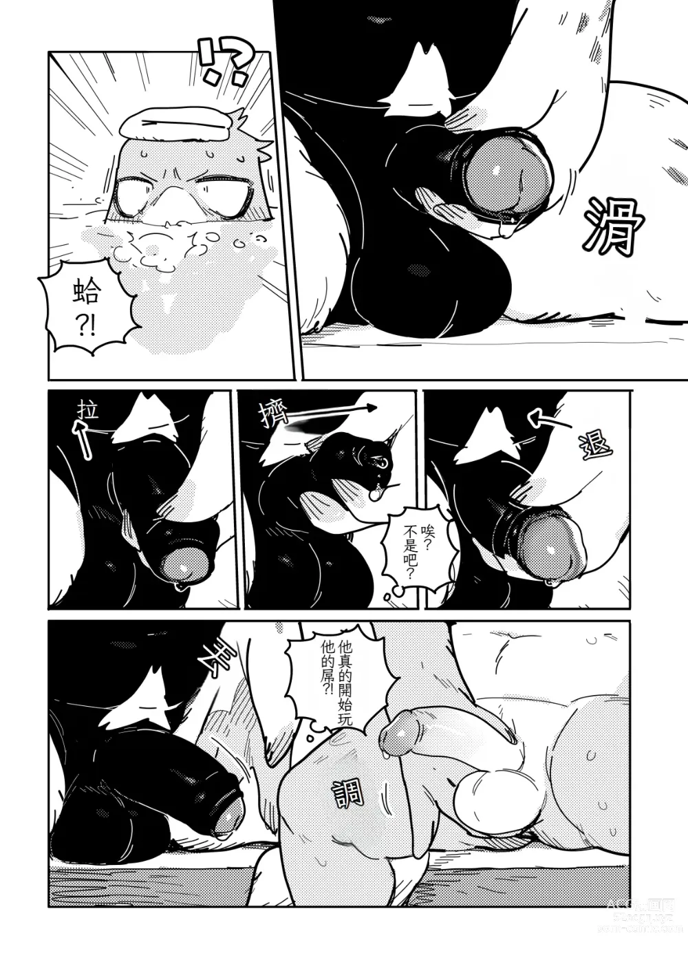 Page 4 of doujinshi White-Tailed Eagle and Owls 白尾鷹與鴞