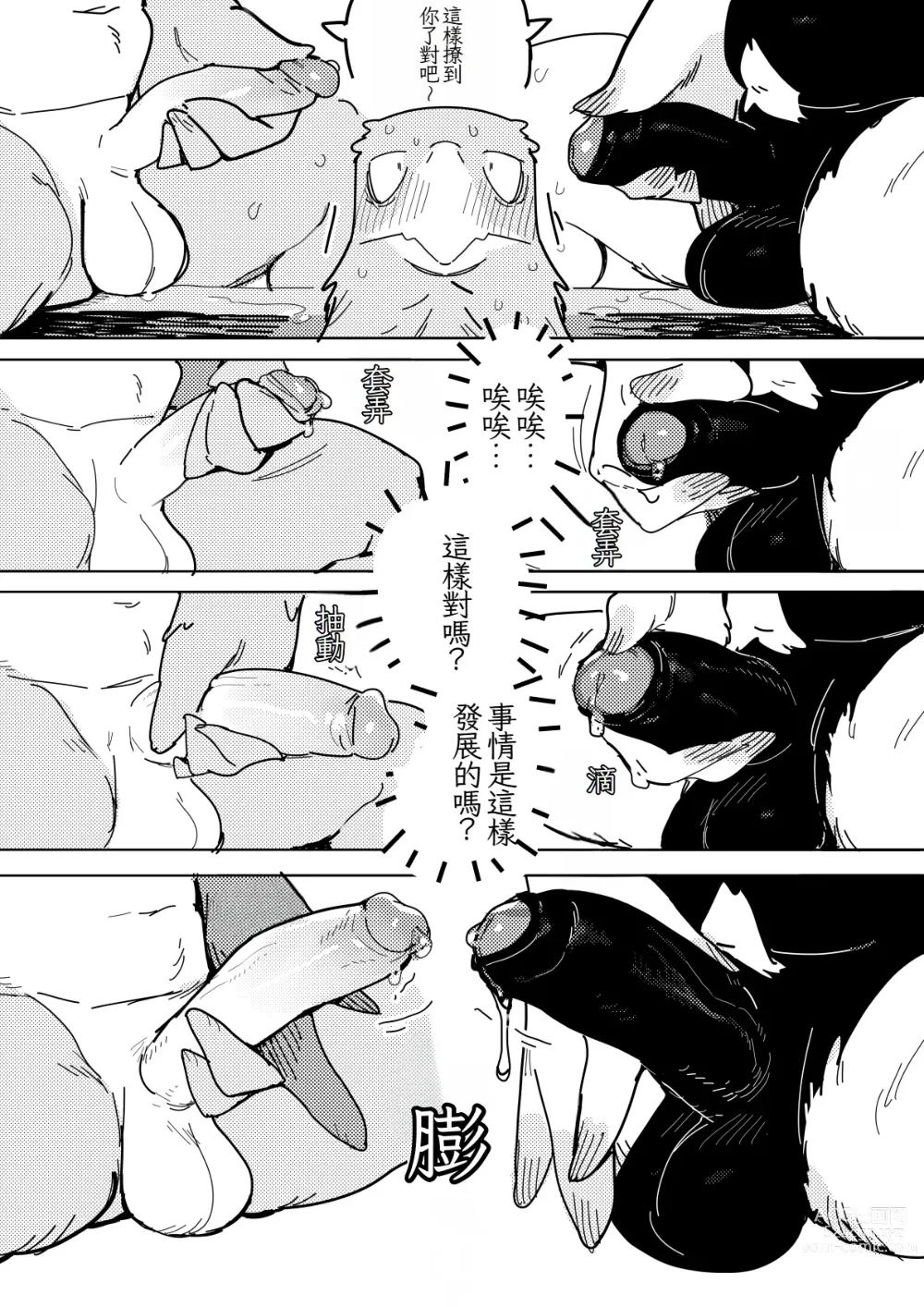 Page 9 of doujinshi White-Tailed Eagle and Owls 白尾鷹與鴞