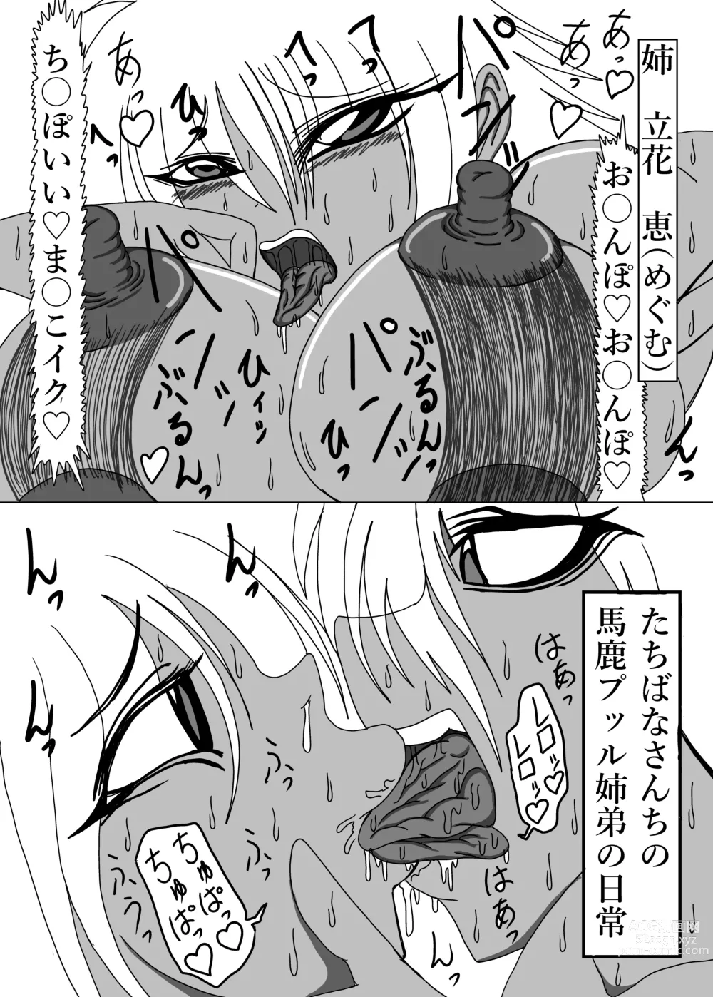 Page 34 of doujinshi 立花さんちのばかっぷる