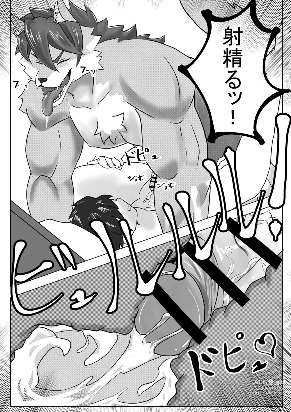 Page 16 of doujinshi Yoru no Ookami