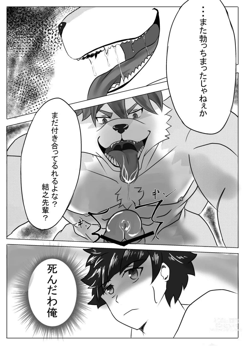 Page 19 of doujinshi Yoru no Ookami