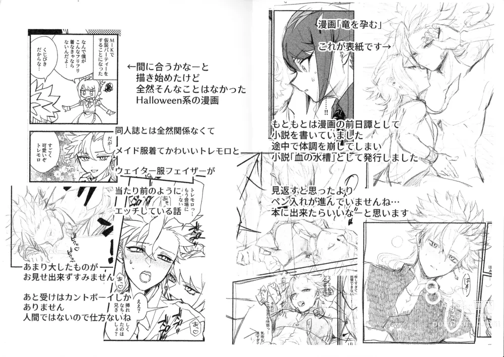 Page 30 of doujinshi Chi no suiso