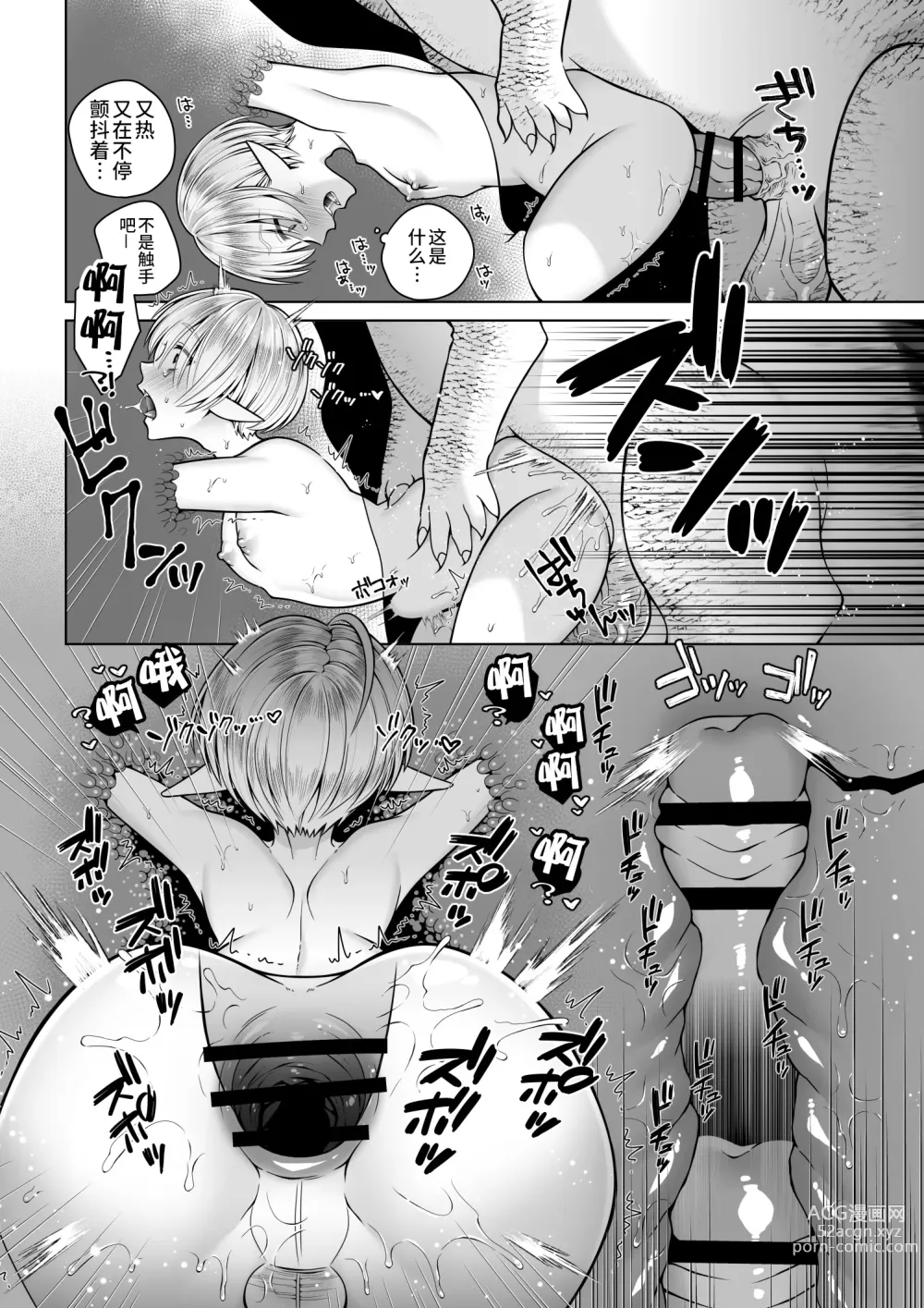 Page 13 of doujinshi Futago Elf no junan kouhen