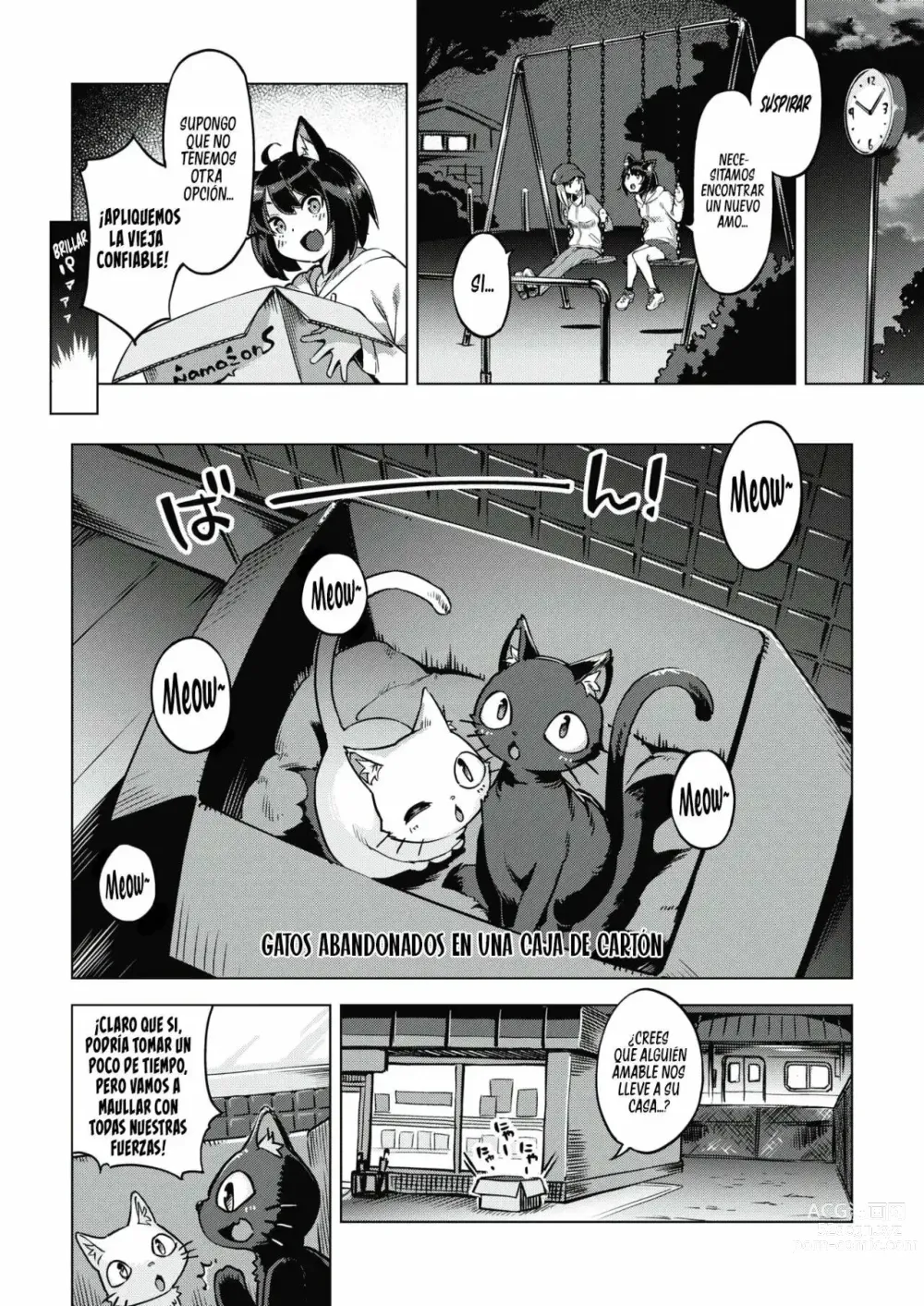 Page 2 of manga Gatitas no invitadas