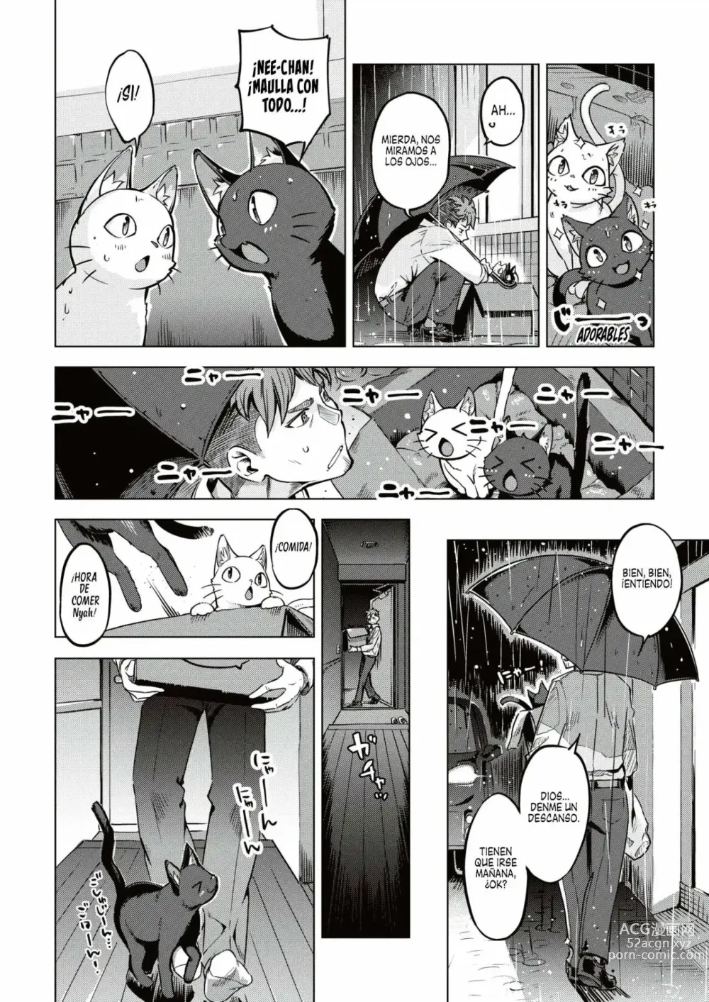 Page 4 of manga Gatitas no invitadas