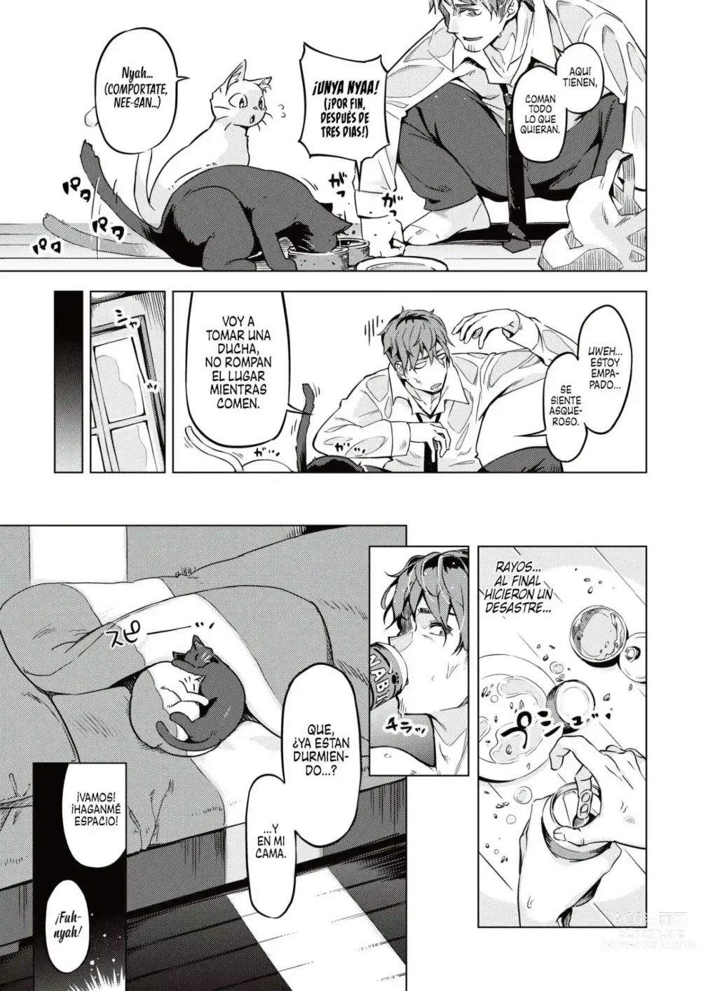 Page 5 of manga Gatitas no invitadas