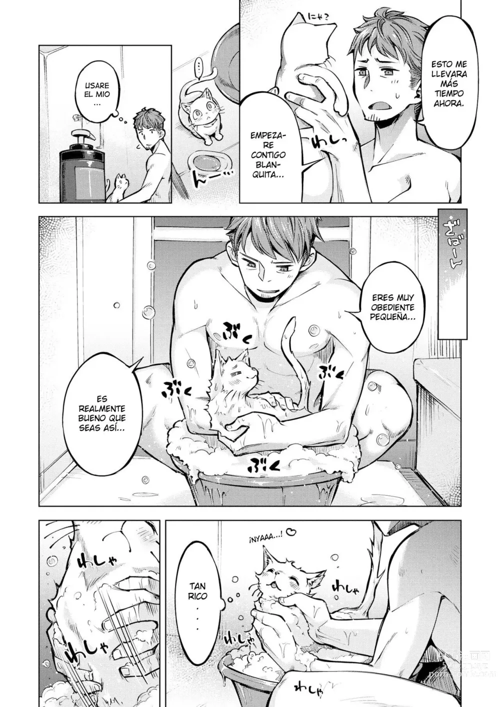 Page 2 of manga Gatitas no invitadas  2