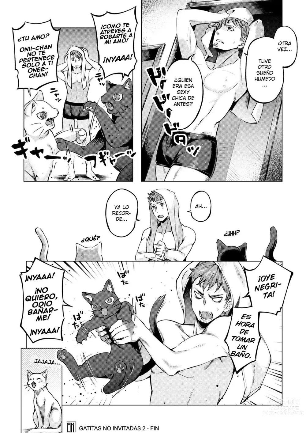 Page 16 of manga Gatitas no invitadas  2