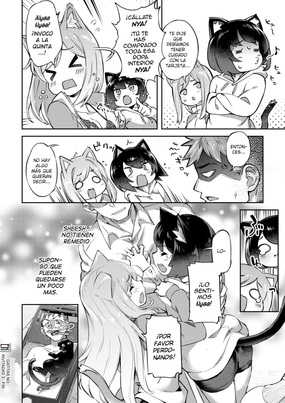 Page 16 of manga Gatitas no invitadas 3