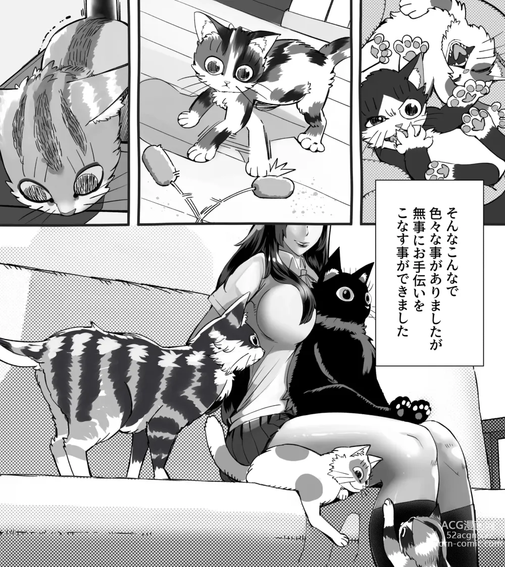 Page 266 of doujinshi 僕の彼女が他人棒で絶頂いたす