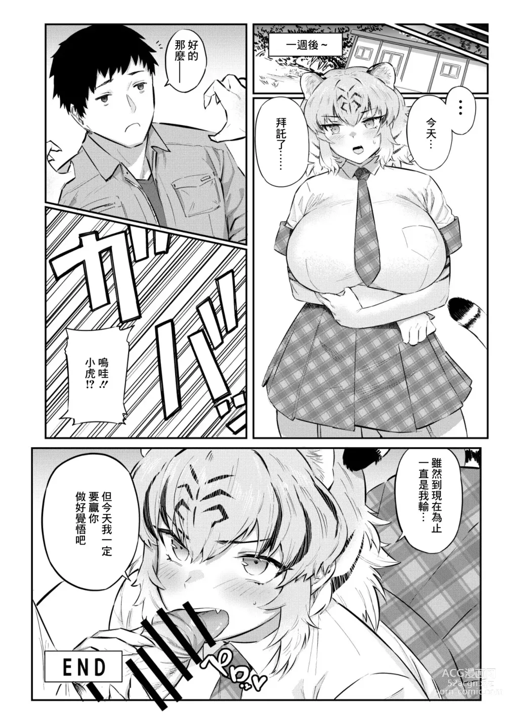 Page 13 of doujinshi Tora wa Fureai Shugyou-chuu