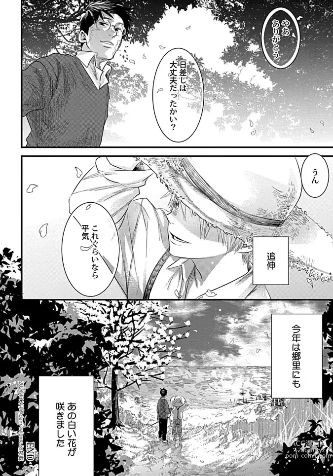 Page 164 of manga White flowers falling in clusters