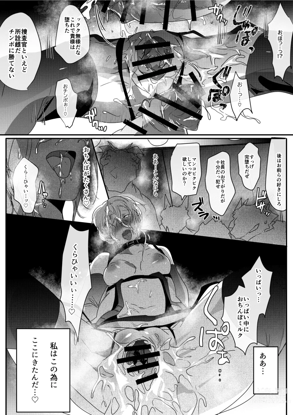 Page 17 of doujinshi Ryoujoku Sennyuu Sousa