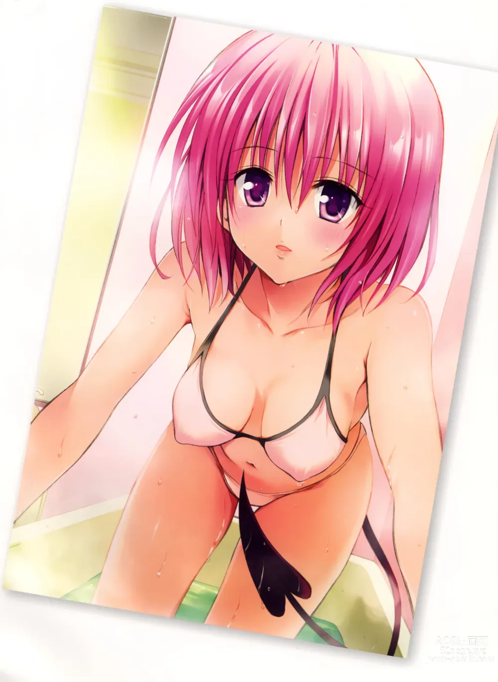 Page 1509 of manga To Love-Ru Darkness FULL COLOR