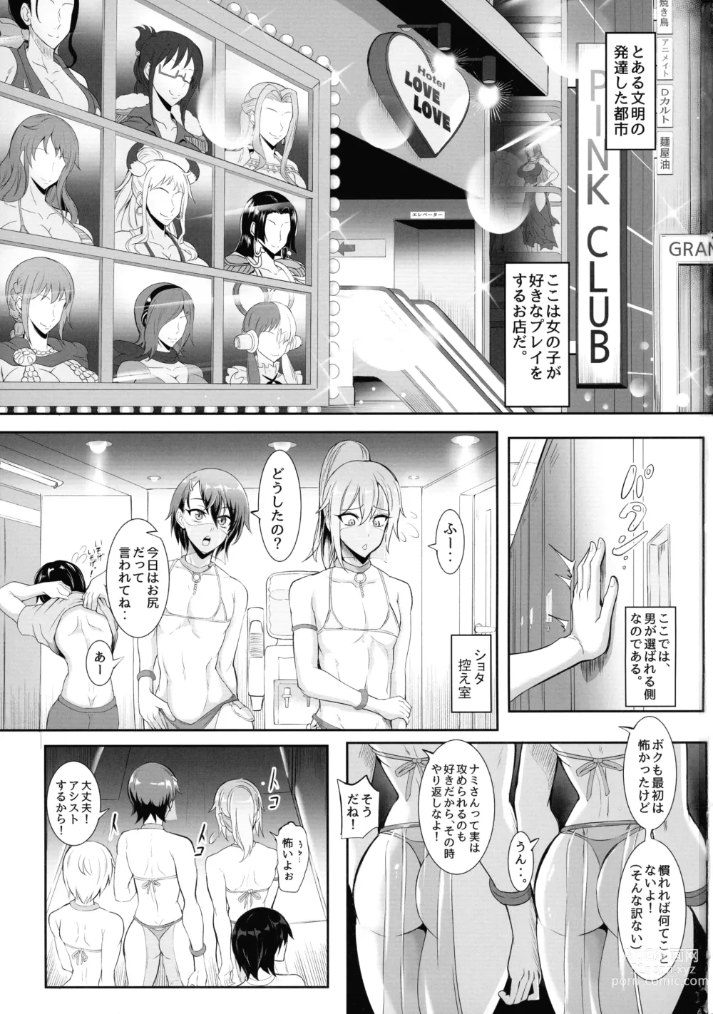 Page 3 of doujinshi Pirate Girls 3