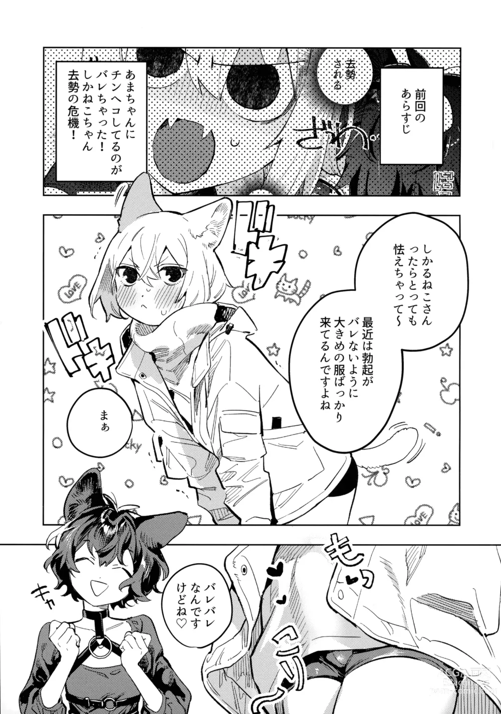 Page 3 of doujinshi Neko-chan Life Sumeragi