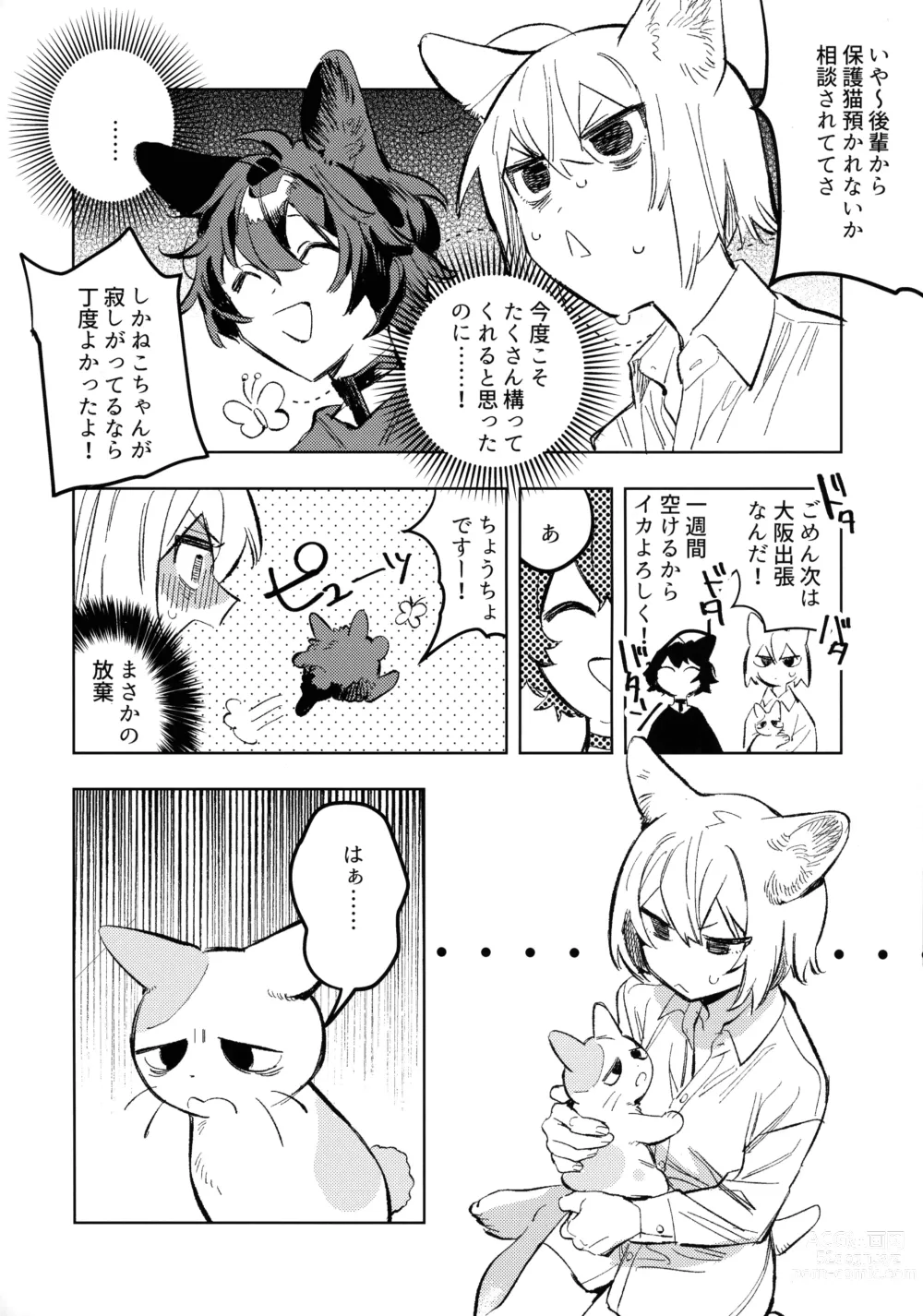 Page 6 of doujinshi Neko-chan Life Sumeragi