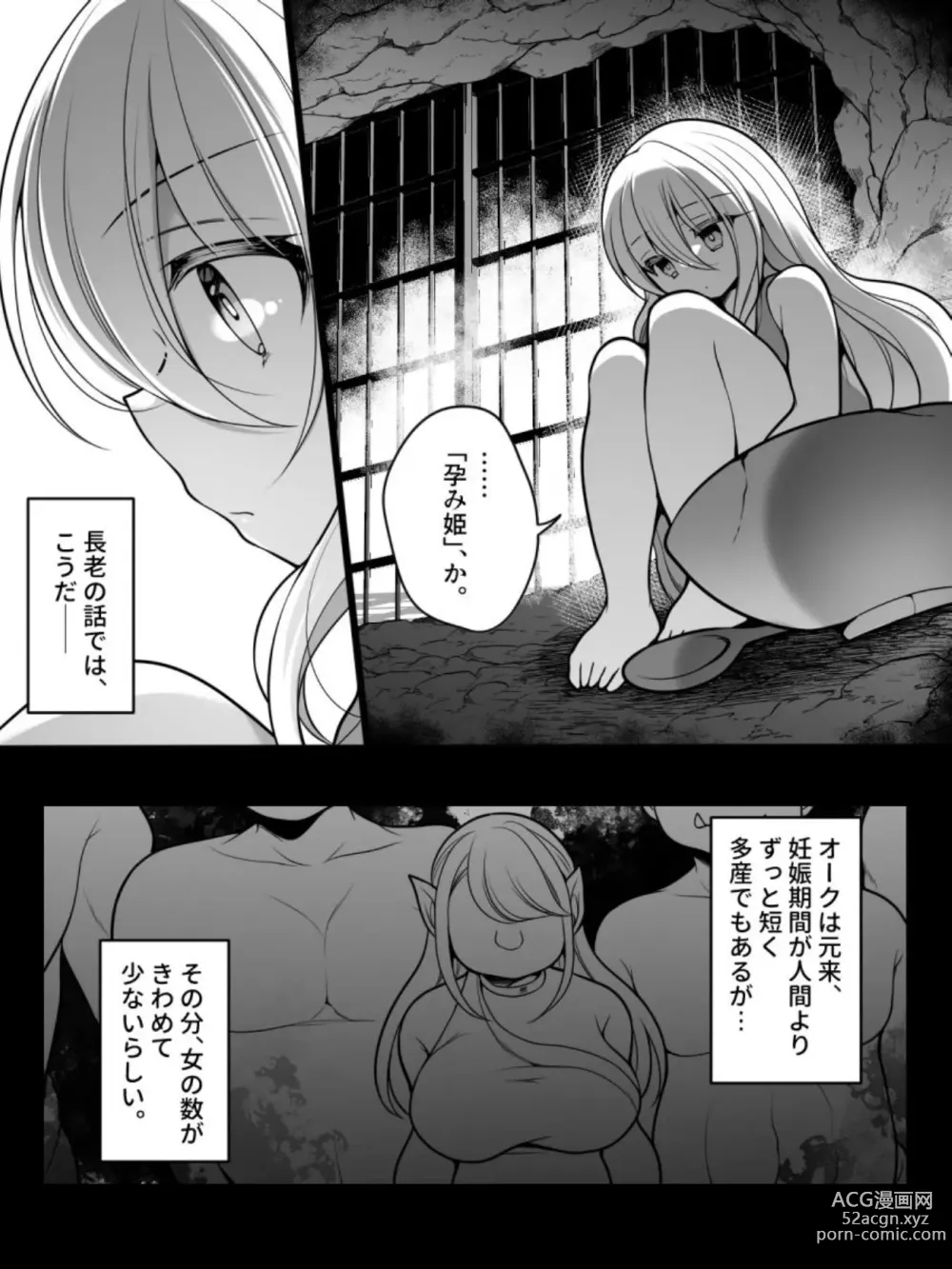 Page 11 of doujinshi TS Impregnated Princess ~A story about a former hero who becomes the princess of a group of orcs~