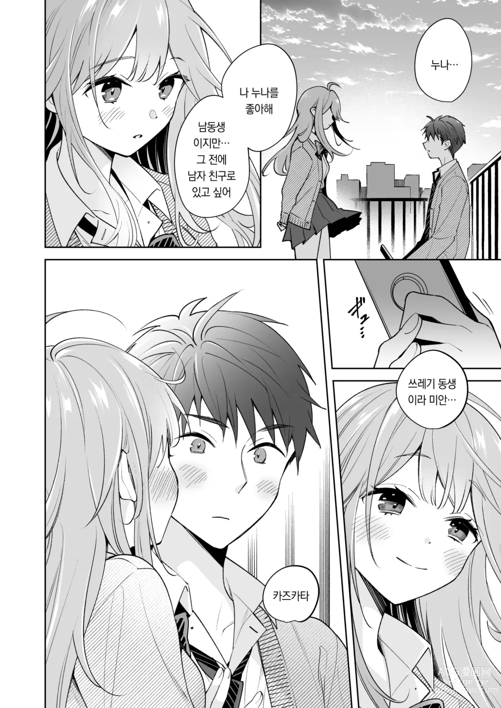 Page 27 of doujinshi 누나는 네가 좋아