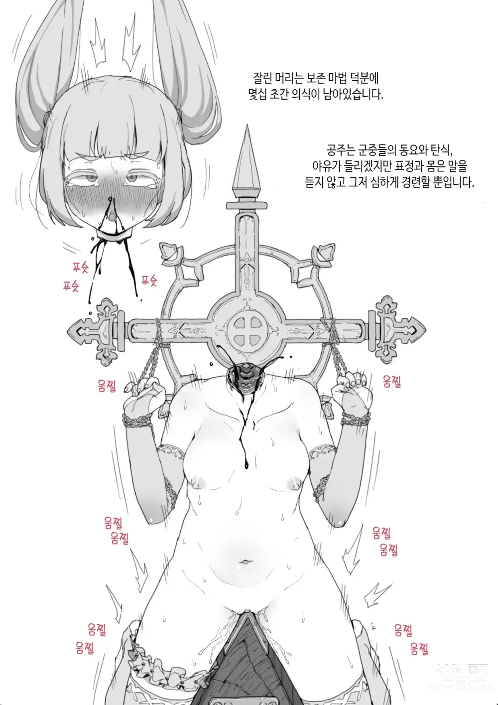 Page 21 of doujinshi 49.princess Lilis execution
