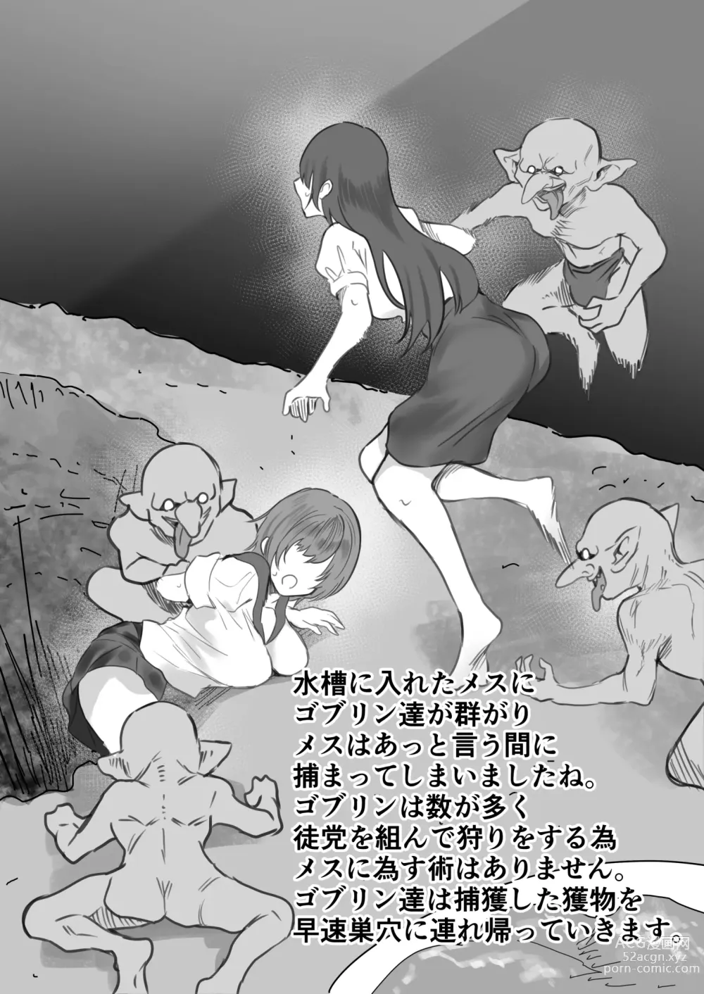 Page 5 of doujinshi Goblin no Suana ni Mesu o Irete Kansatsu Shita Kekka ga Yaba Sugita