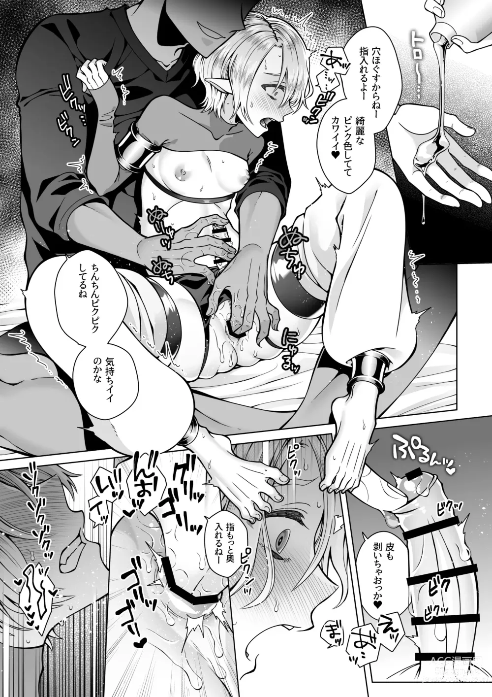Page 40 of doujinshi Futago Elf no junan