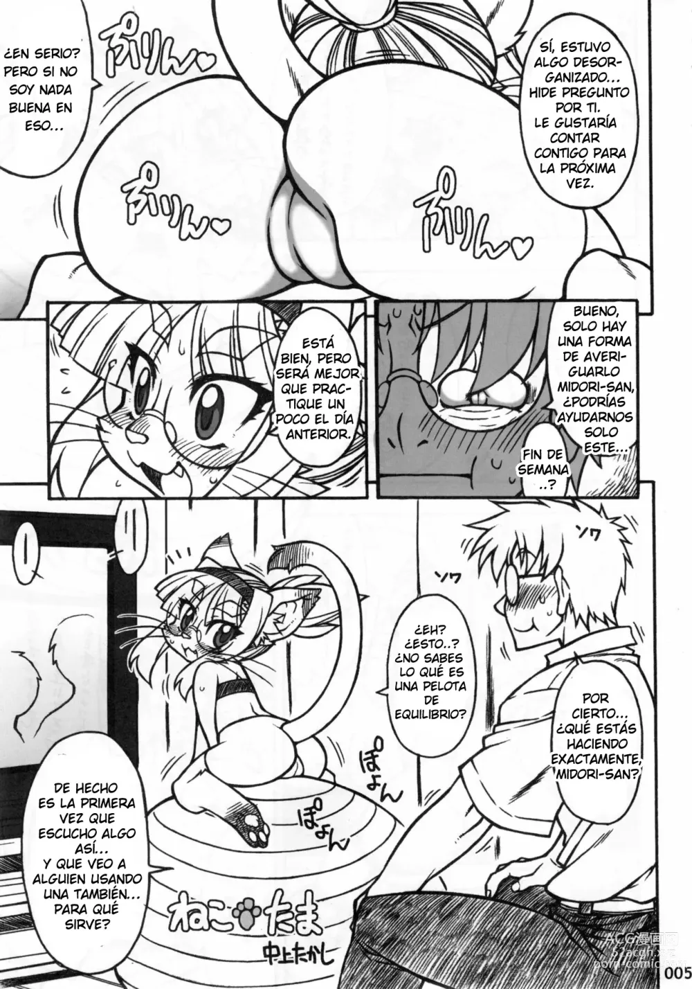 Page 1 of doujinshi Midori's Neko Kano 2