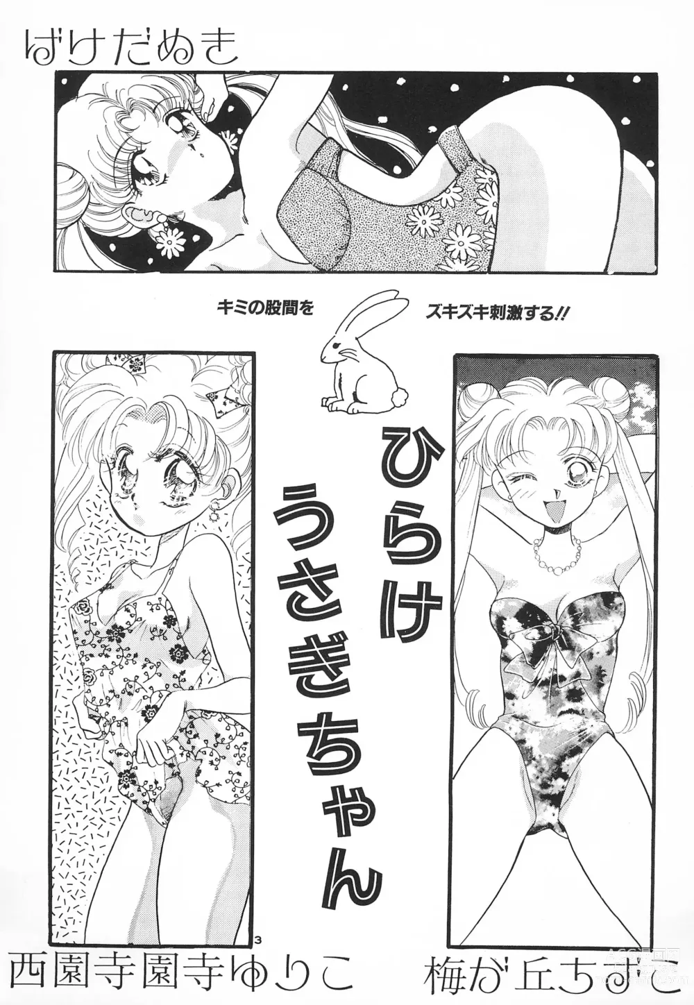 Page 5 of doujinshi Hirake! Usagi-chan