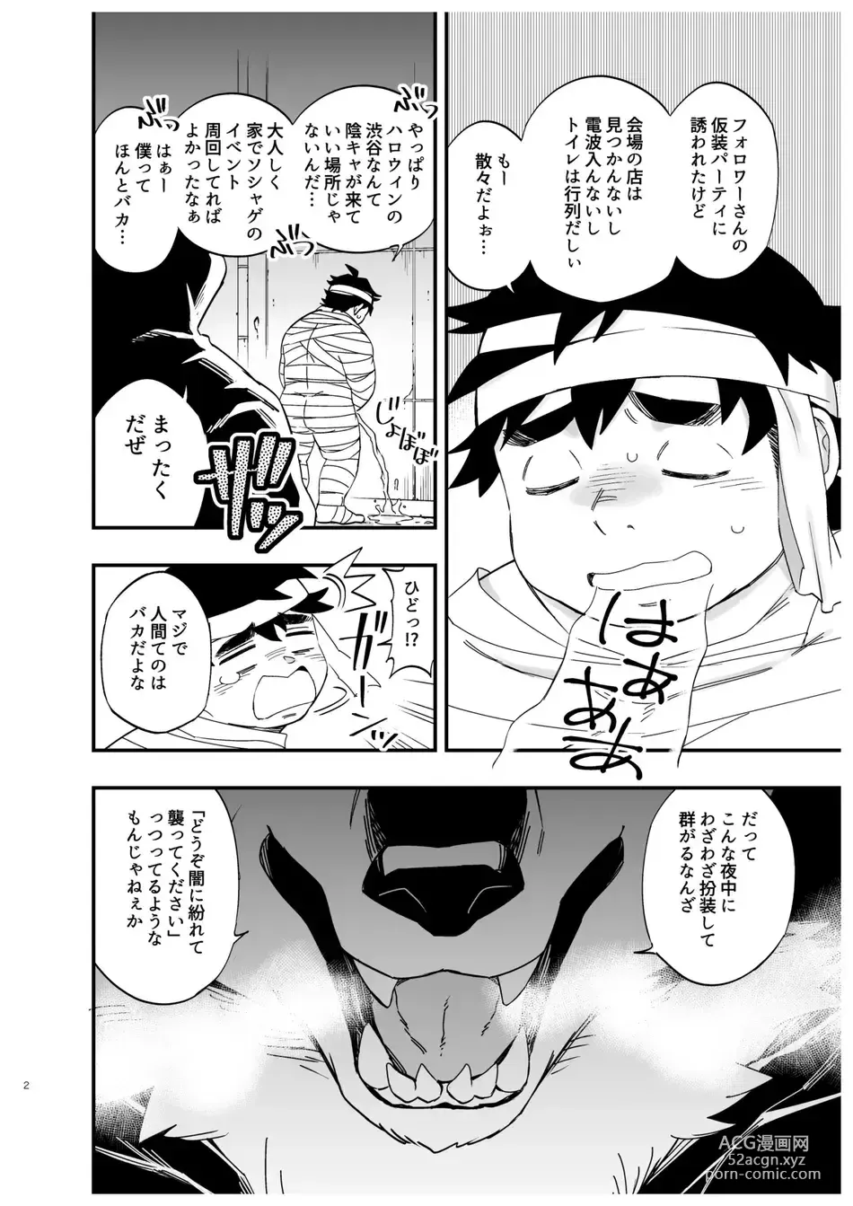 Page 3 of doujinshi Ookami nanka Kowakunai!