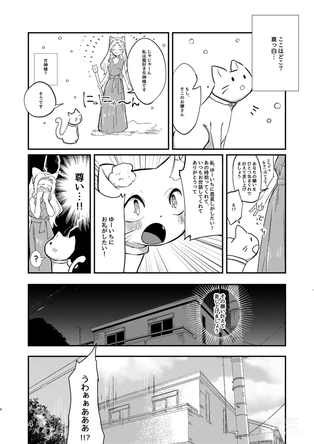 Page 3 of doujinshi Ongaeshi no Neko