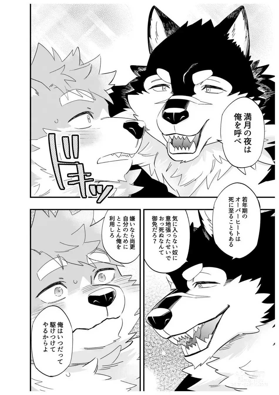 Page 15 of doujinshi Karisome Ookami