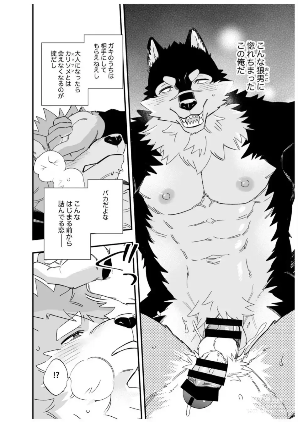 Page 17 of doujinshi Karisome Ookami