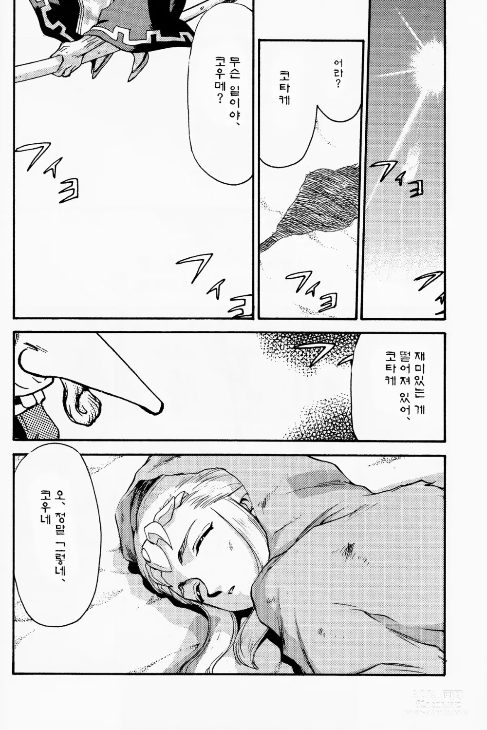Page 5 of doujinshi NISE Zelda no Densetsu Shinshou